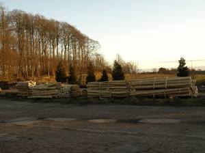 12672053_885073808280503_5073383584638059706_o