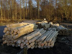 12716039_885073771613840_8547456253379063032_o